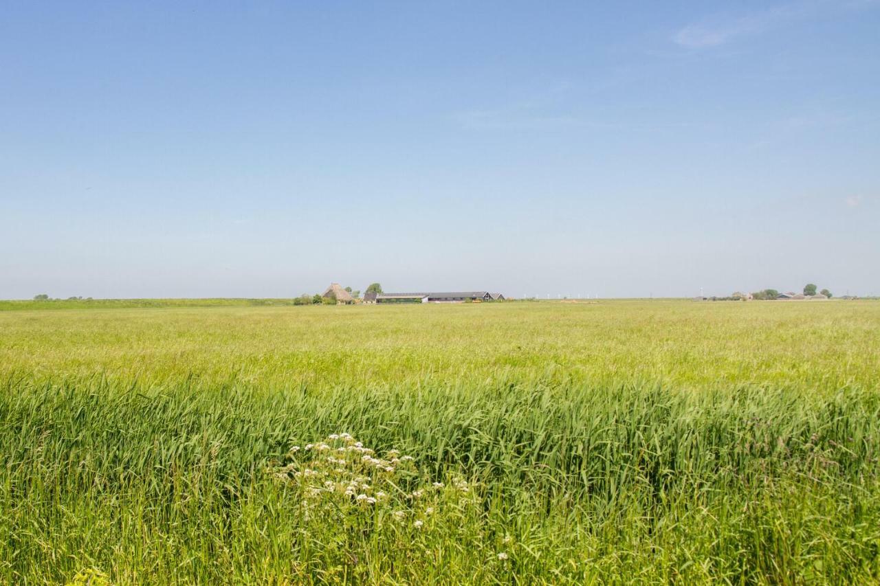 Traphoeve Schagen Esterno foto